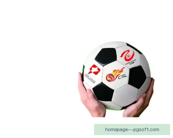 中国足球开启职业联赛最严格准入审核机制确保规范发展